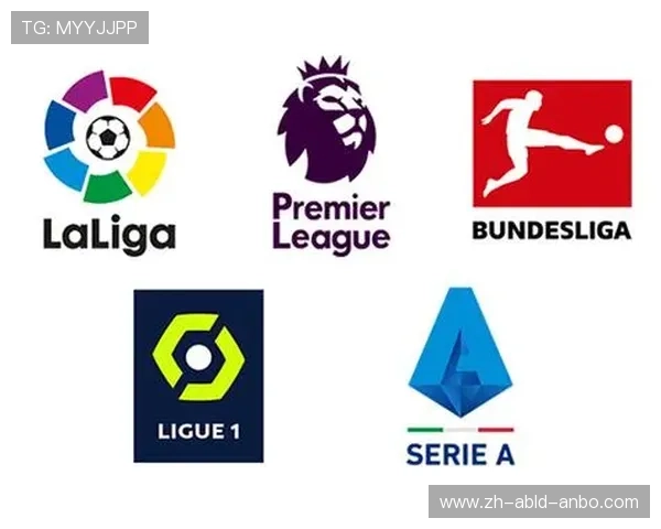 欧冠各个联赛名额分配及资格规则解析