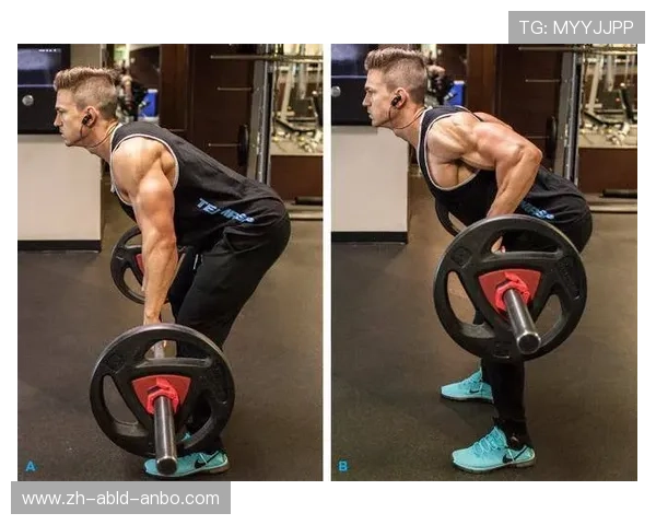 高阶背部增肌计划六种专业器械深度剖析 高阶背部增肌计划六种专业器械深度剖析